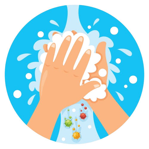 Hygienic and Safe Preparation